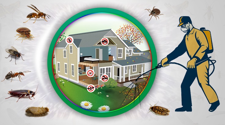 Ula Böcek İlaçlama